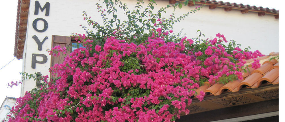 Mouria Hotel Skiathos Town Exterior photo